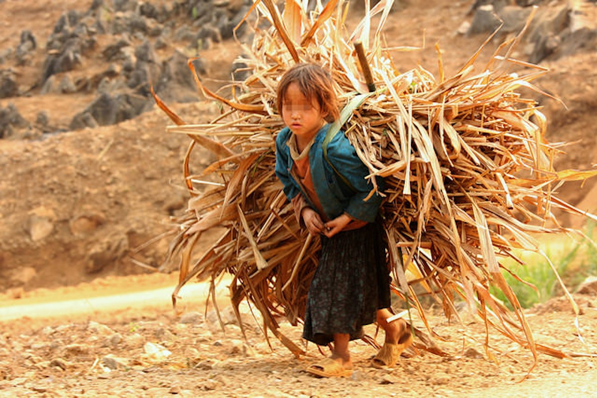 Services to support for the development of strategic action plan on the eradication of child labor in agriculture and capacity building of the responsible stakeholders to implement child protection actions in Agriculture